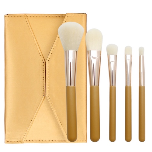 5-pcs-cosmetic-brush-kit-with-envelope-bag